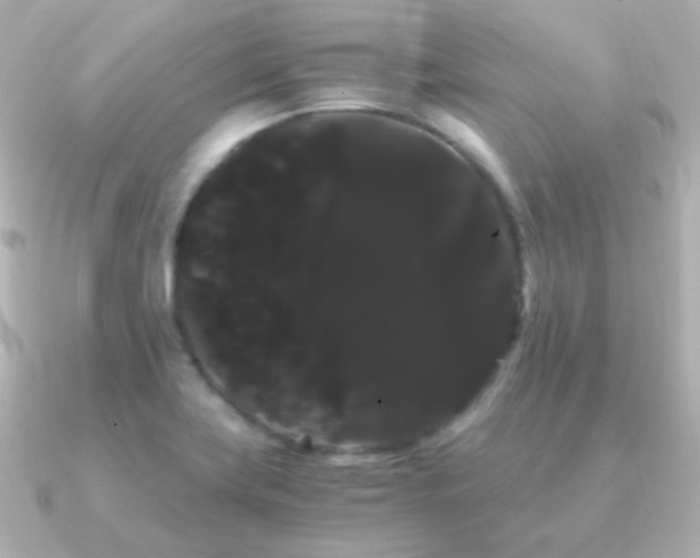 X0000091241419200708091427