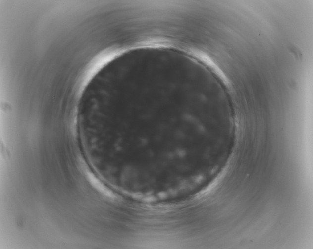 X0000091241421200708091427