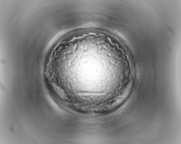 X0000091241422200708091427