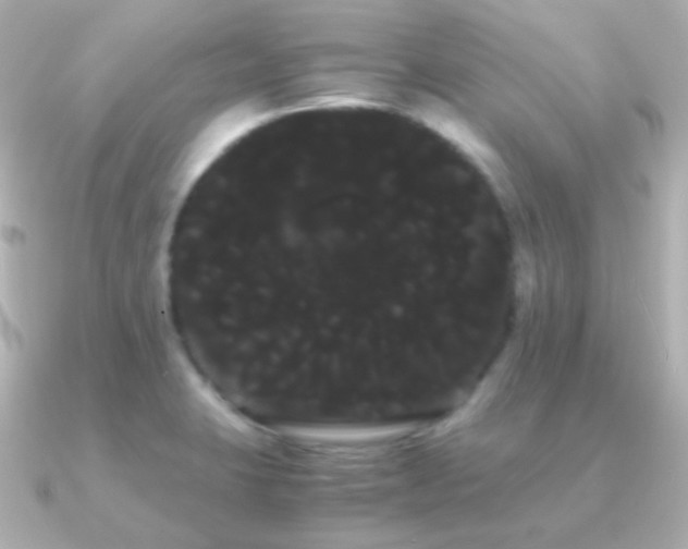 X0000091241423200708091427