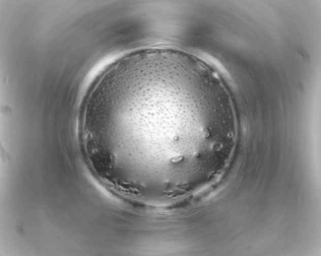 X0000091241424200708091427