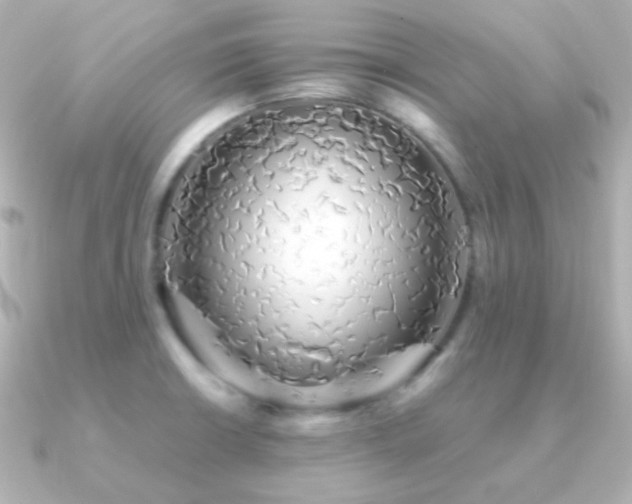X0000091241426200708091427