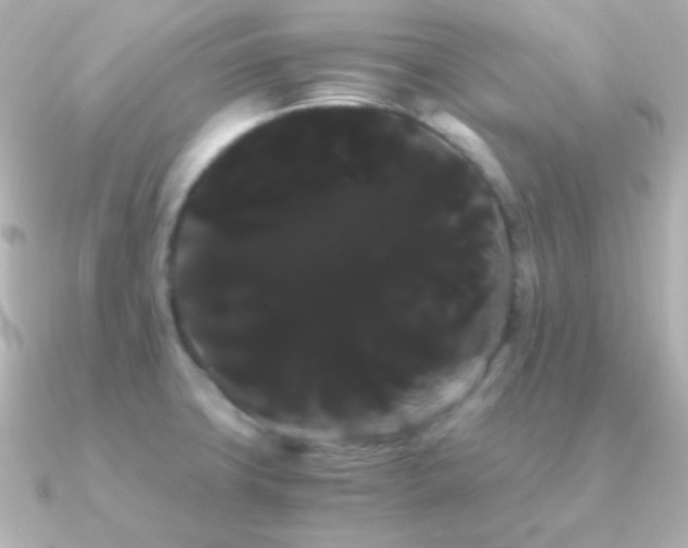 X0000091241427200708091427