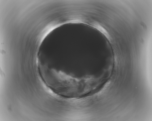 X0000091241428200708091427