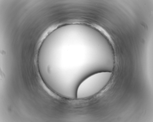 X0000091241429200708091427