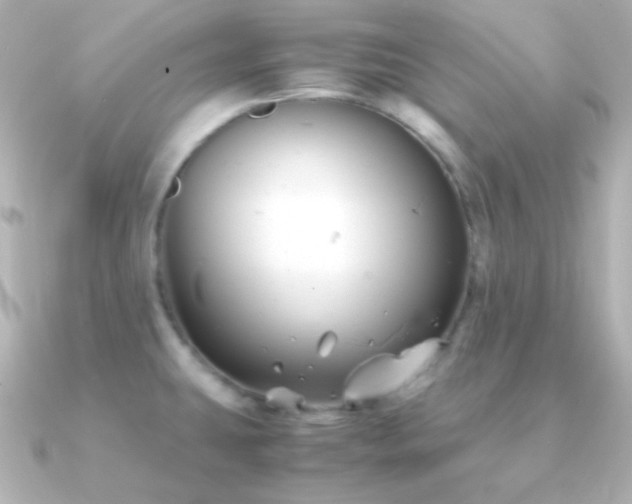 X0000091241431200708091427