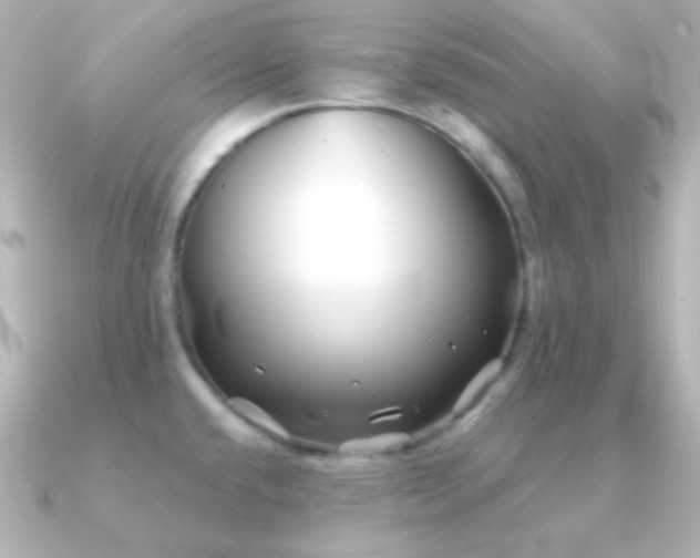 X0000091241432200708091427