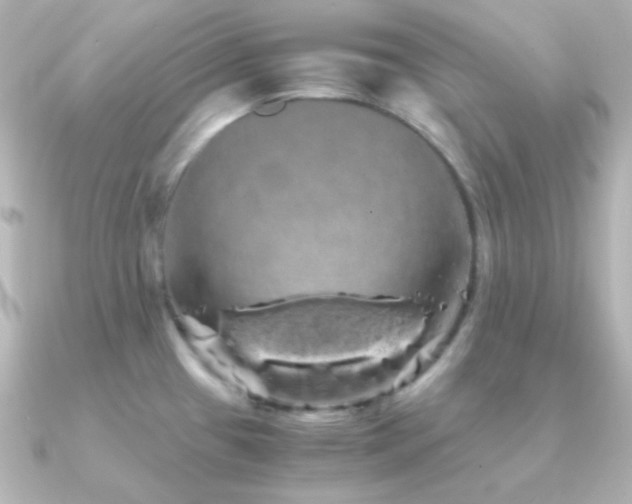 X0000091241433200708091427