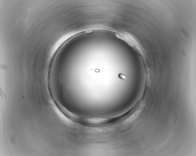 X0000091241438200708091427