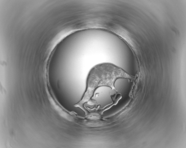 X0000091241439200708091427
