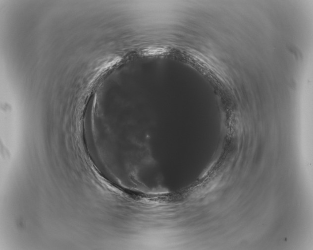 X0000091241441200708091427