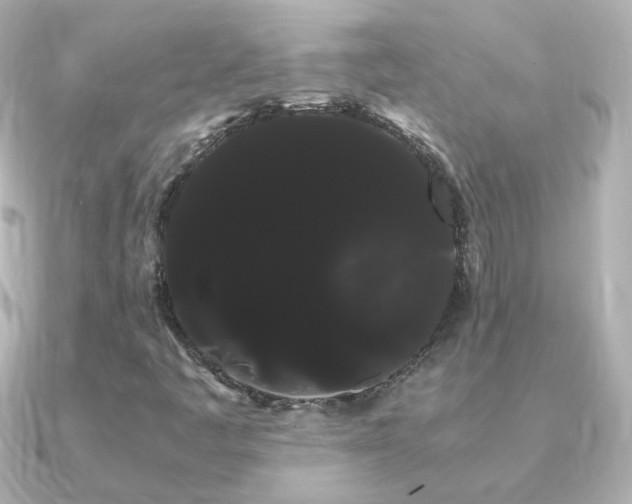 X0000091241445200708091427
