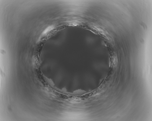 X0000091241446200708091427