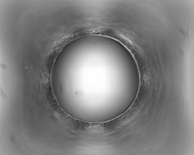 X0000091241447200708091427