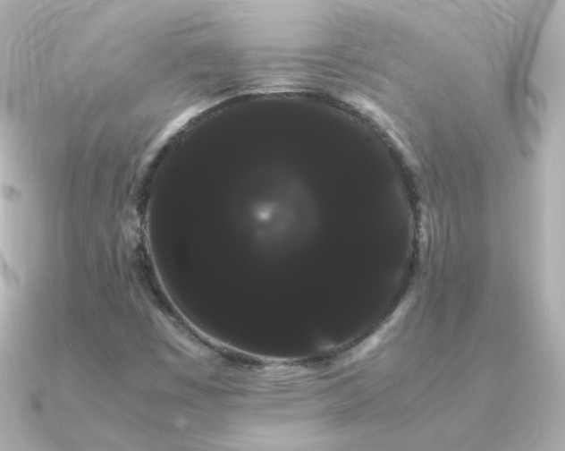 X0000091241449200708091427