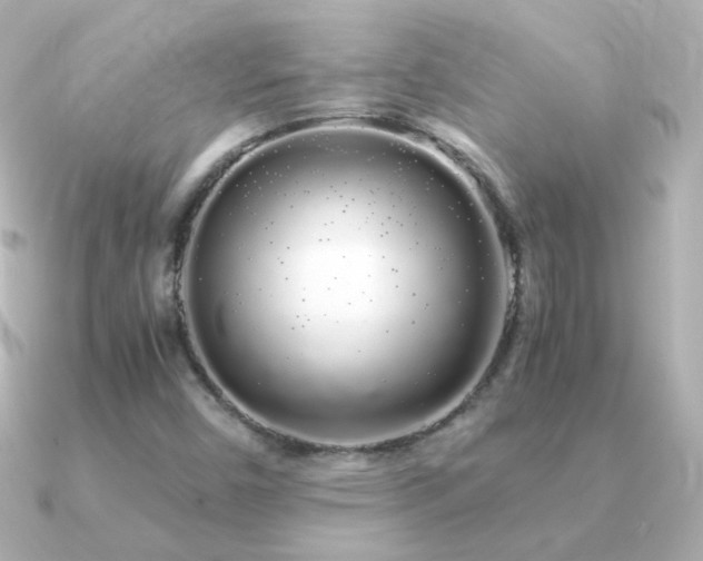 X0000091241450200708091427