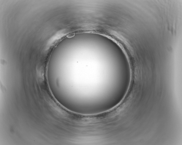 X0000091241451200708091427