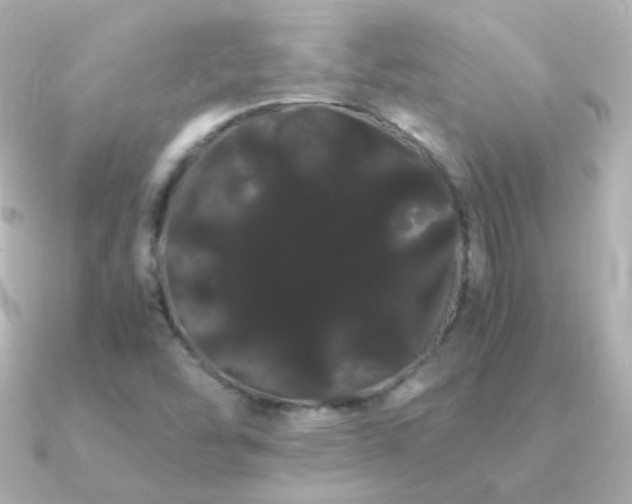 X0000091241454200708091427