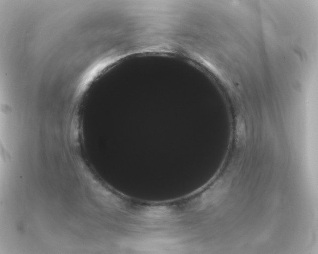 X0000091241455200708091427