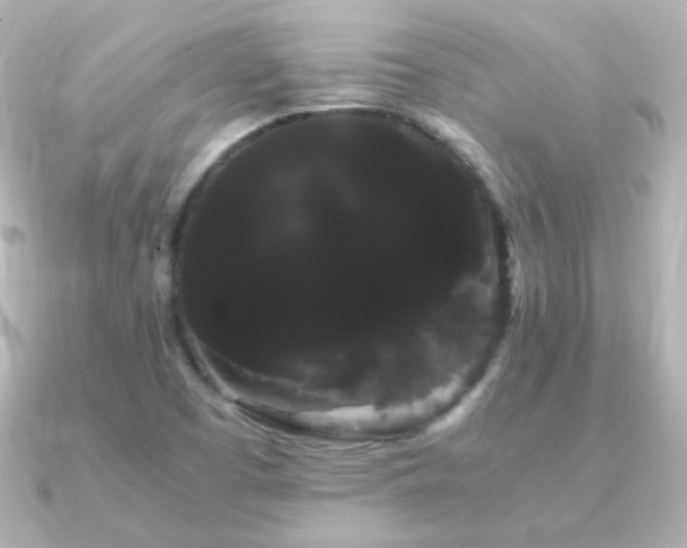 X0000091241457200708091427