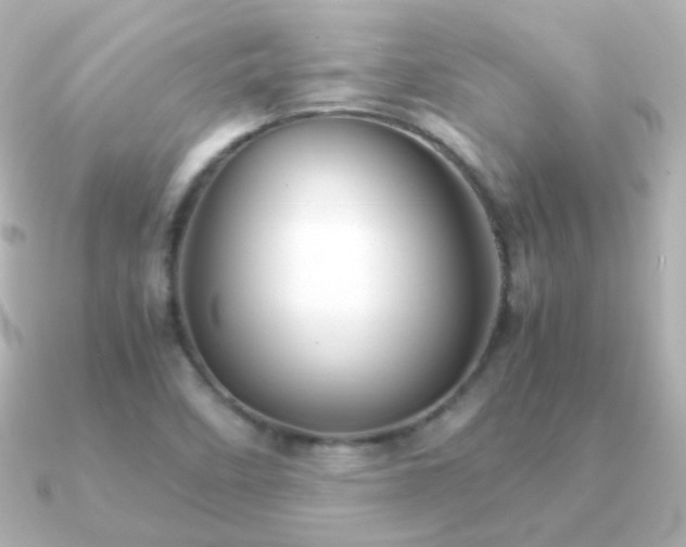 X0000091241458200708091427