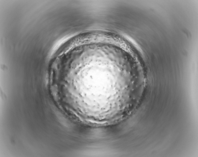 X0000091241461200708091427