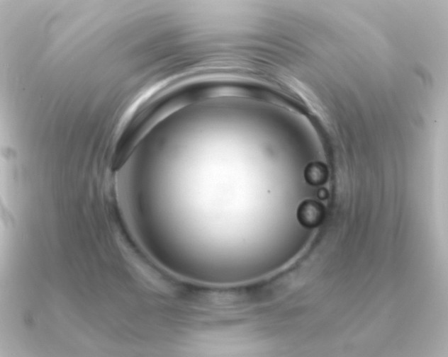 X0000091241465200708091427