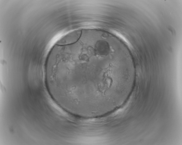 X0000091241467200708091427