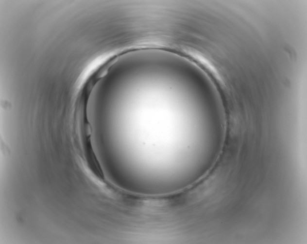 X0000091241469200708091427
