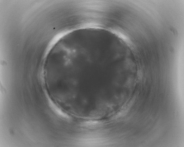 X0000091241470200708091427
