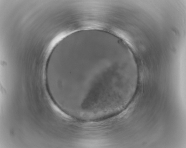X0000091241471200708091427