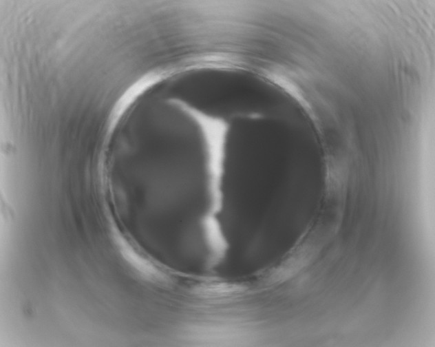 X0000091241474200708091427
