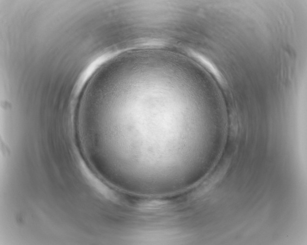 X0000091241475200708091427