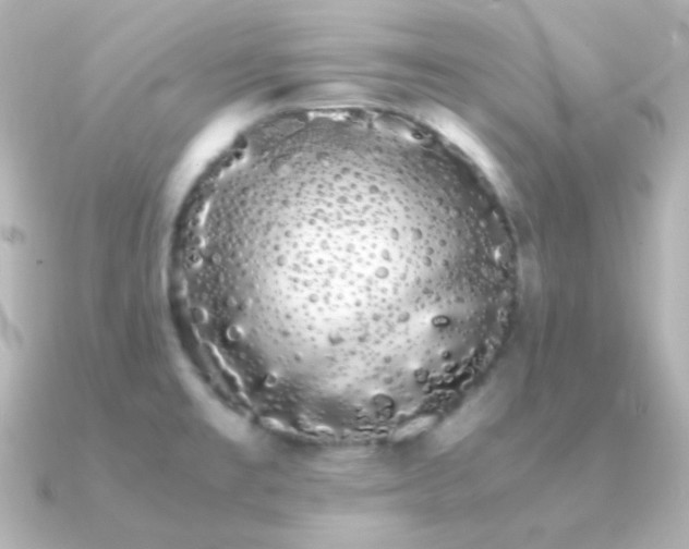 X0000091241477200708091426