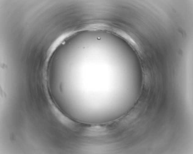 X0000091241478200708091426