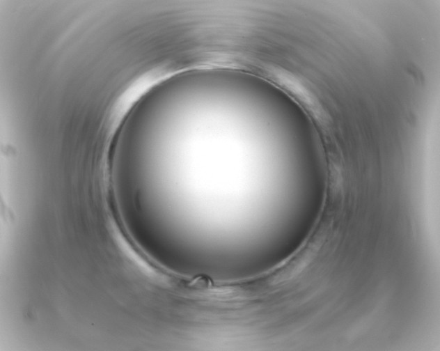 X0000091241479200708091426