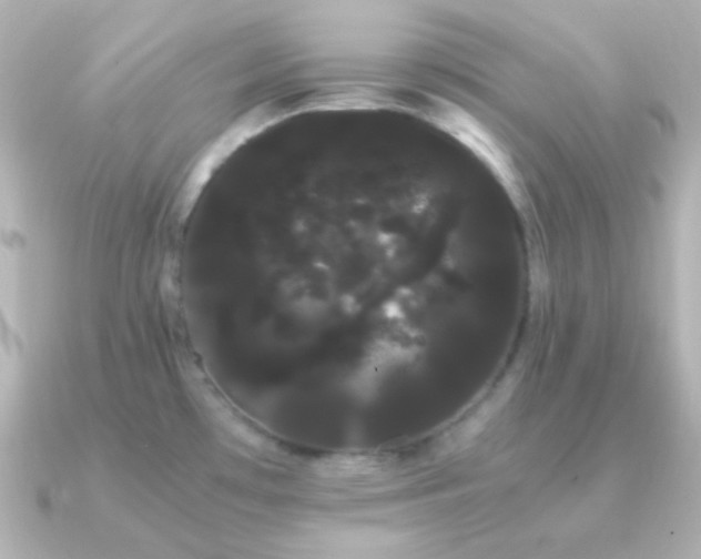 X0000091241481200708091426