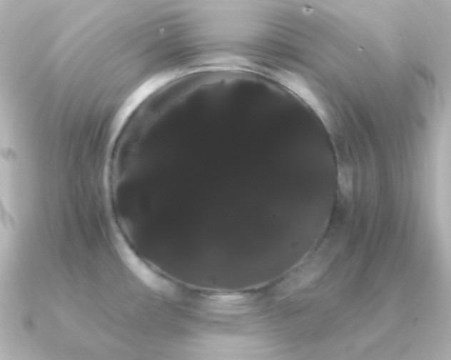 X0000091241482200708091426