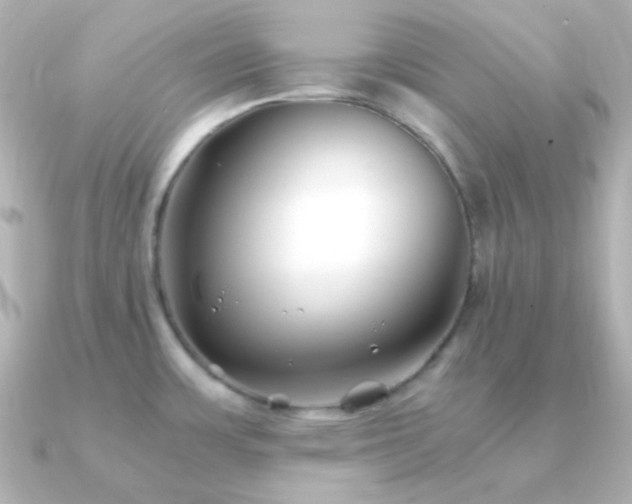 X0000091241483200708091426