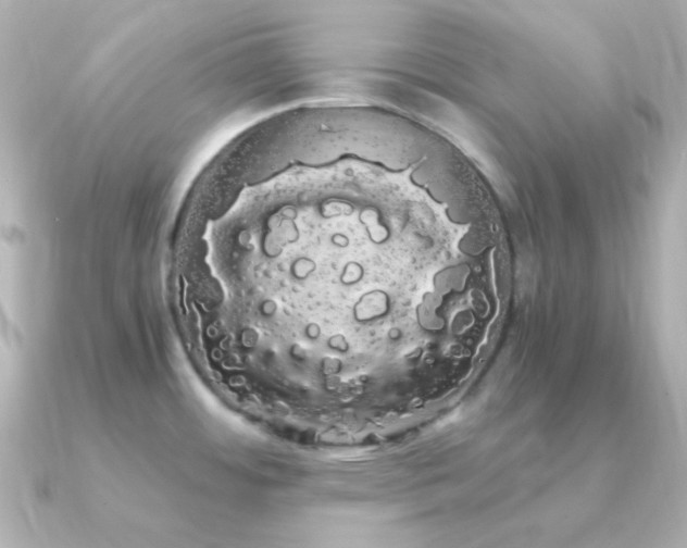 X0000091241484200708091426