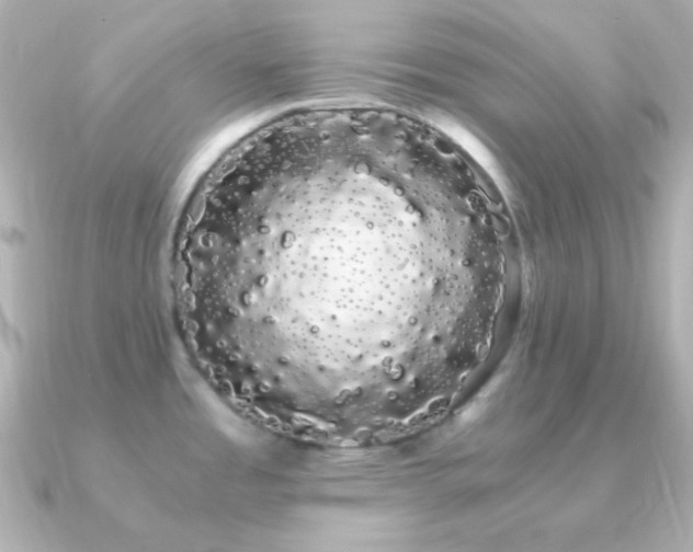 X0000091241485200708091426