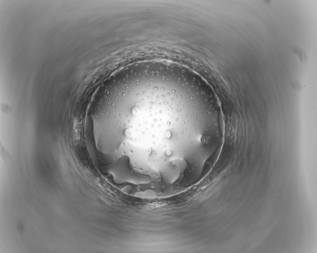 X0000091241490200708091426