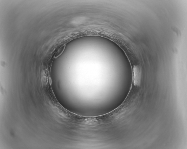 X0000091241491200708091426