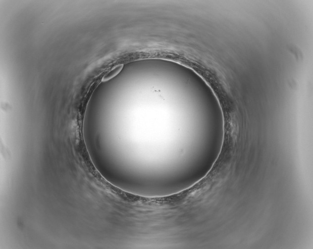 X0000091241493200708091426