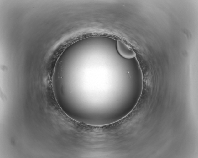 X0000091241495200708091426