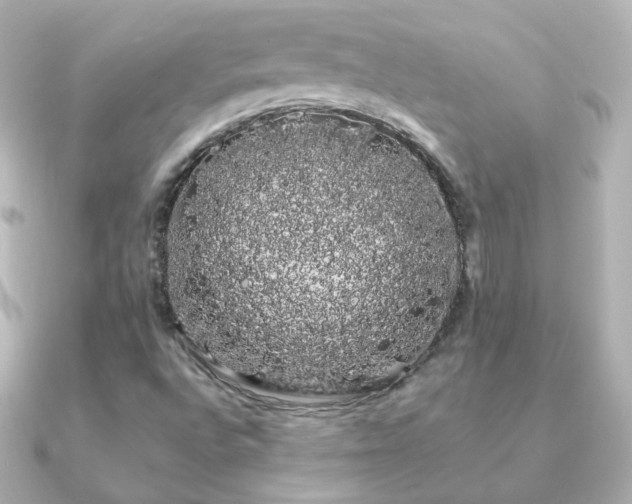 X0000091241496200708091426