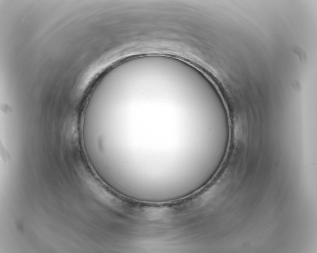 X0000091241498200708091426