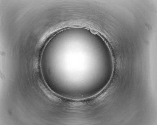 X0000091241499200708091426