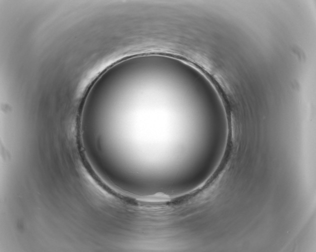 X0000091241500200708091426