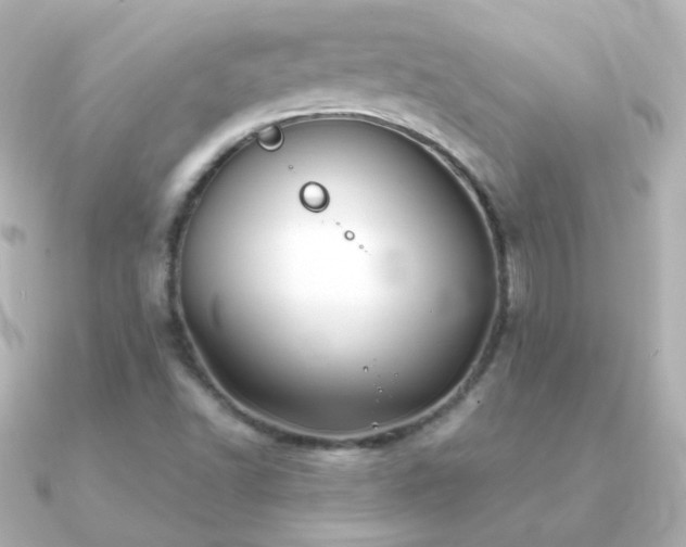 X0000091241502200708091426